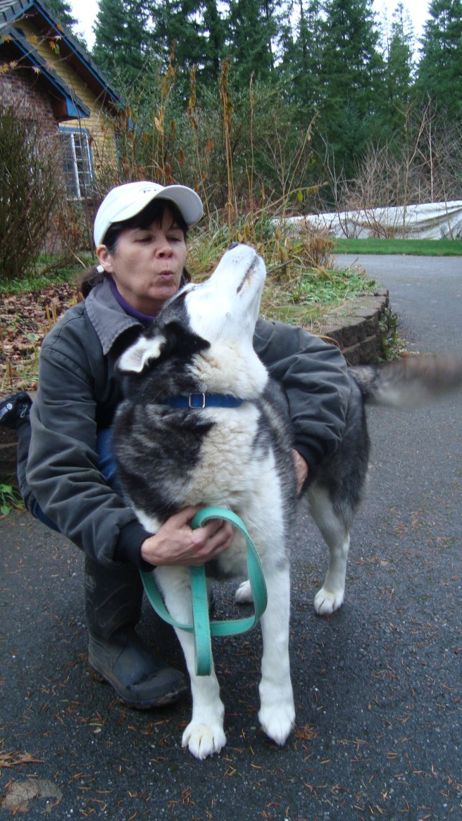 November_29,_Husky_Transport_010