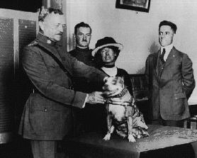 stubbygen5 Stubby Being Decorated by General Pershing.
