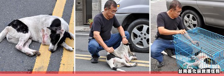 Nora, as found in Taiwan