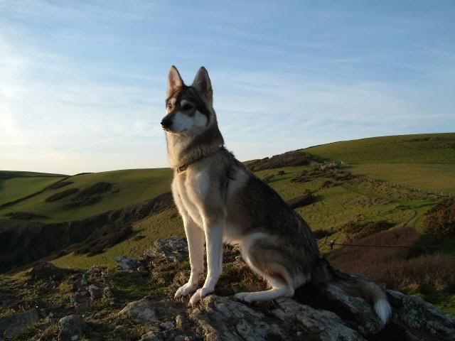 PAP Inca2004_0122sunset0004