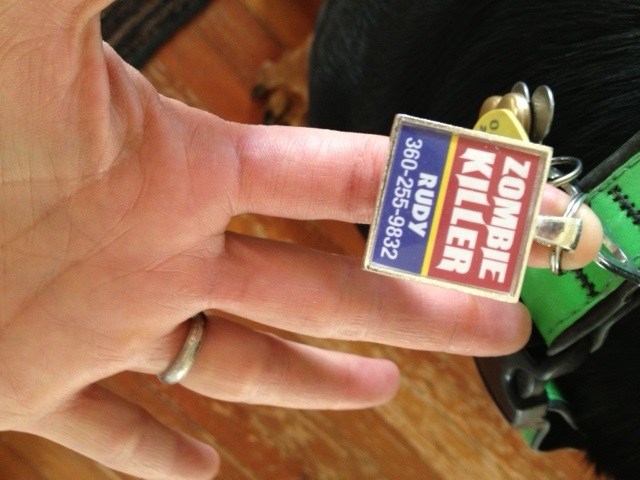 Rudy attacked the television when we tried to watch "Walking Dead".