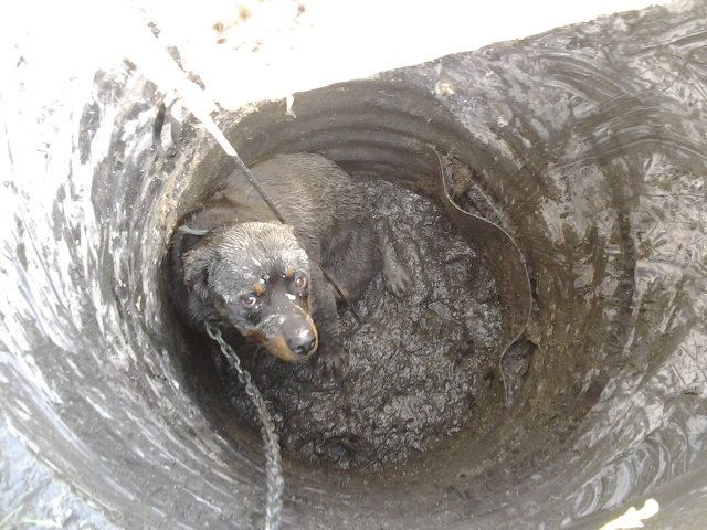 In the hole. July 5th, 2012.