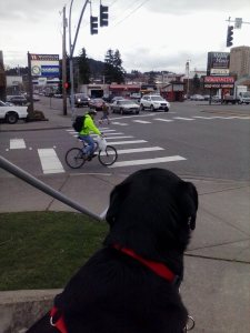 10007434_10203563188506662_1943578361_n