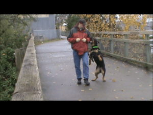 Snapshot 1 (3-10-2014 2-24 PM)