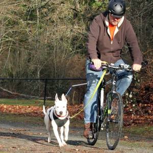 10415651_10205787348949283_1612814459776105706_n