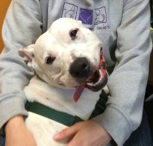 10635802_749934018396353_660011092401989072_n