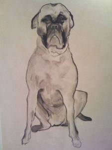 10649885_10203278277574708_1351403128683617037_n