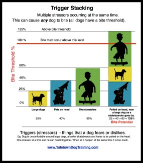 trigger-stacking-absolute-final2