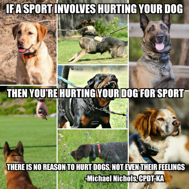 16819270_1249468255148254_7059265726821179945_o