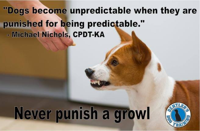 16602132_474836122640380_7408203526622288296_o