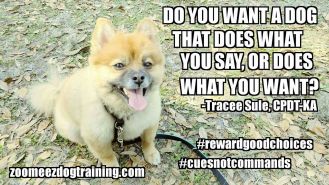 17097974_1640815769292071_1635489232887669785_o