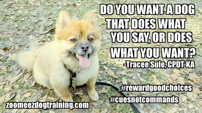 17097974_1640815769292071_1635489232887669785_o