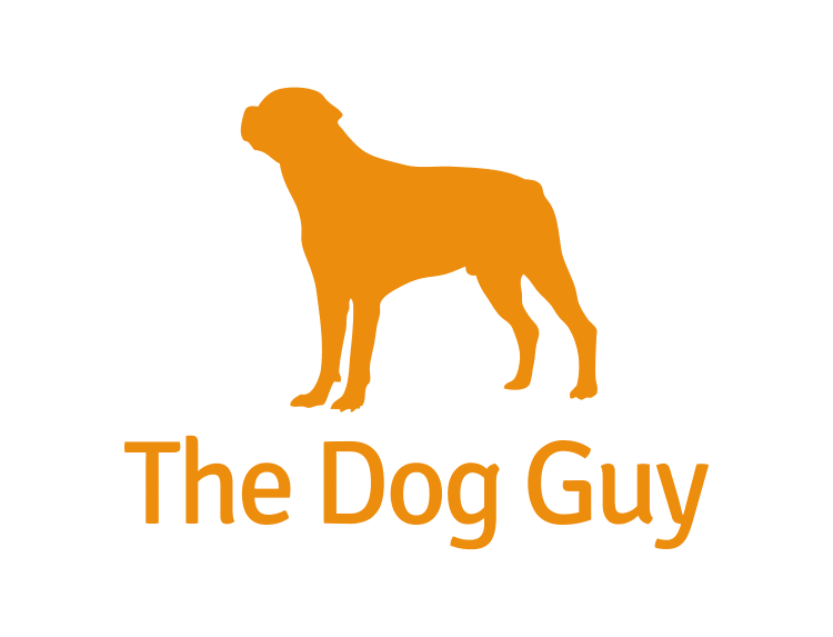 color_logo_transparent_background-1