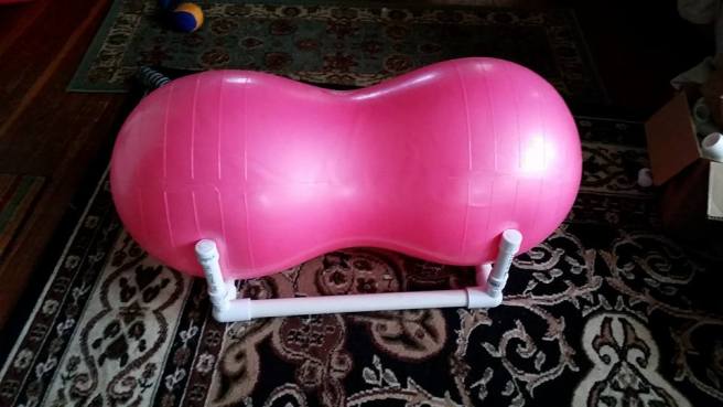 18670751_10213516803860825_7565845921038786825_n