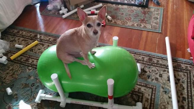 18698208_10213510218136186_970440303644156371_n