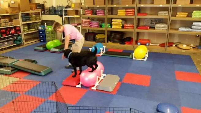 18740224_1364251900306847_5638241150254542765_n