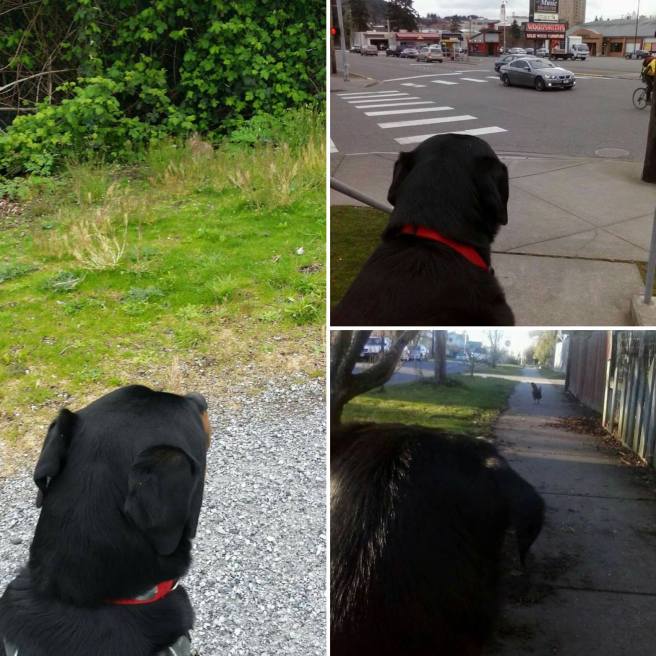 received_10215740308367048