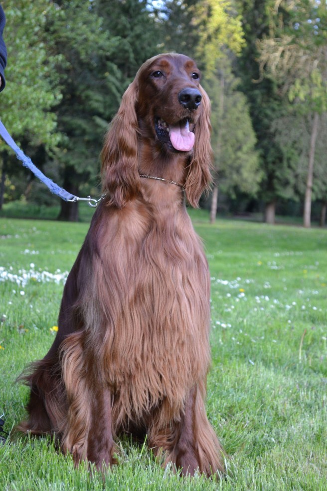 received_1750075525047885