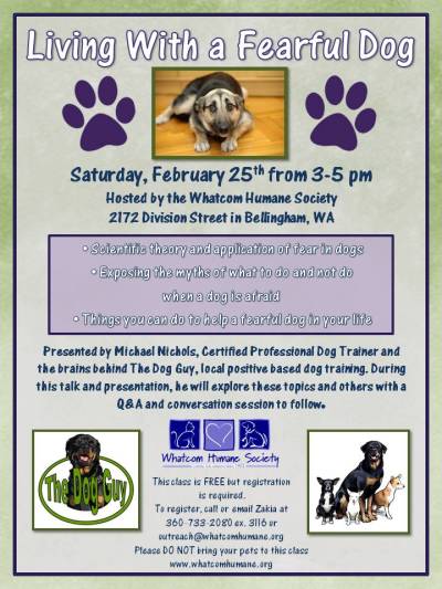 Fearful Dogs Class (2)